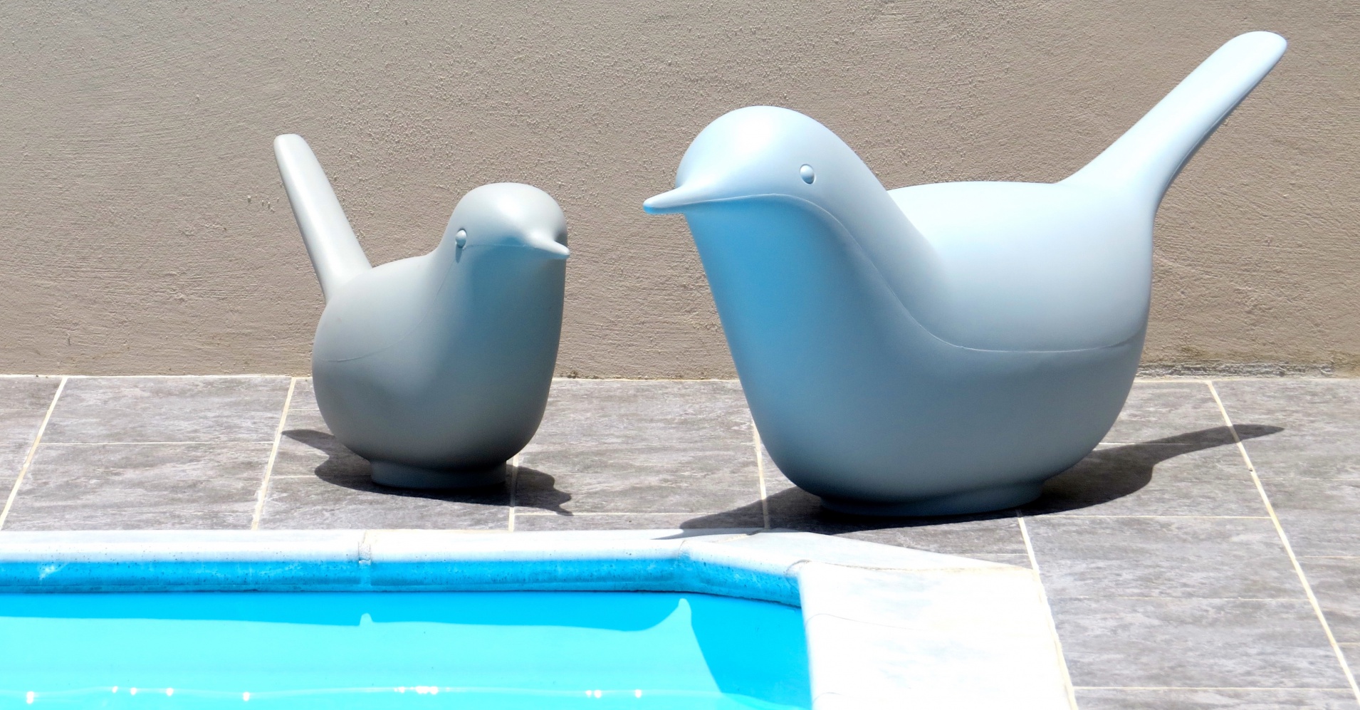 Piscine priv&eacute;e et s&eacute;curis&eacute;e - R&eacute;sidence Coco