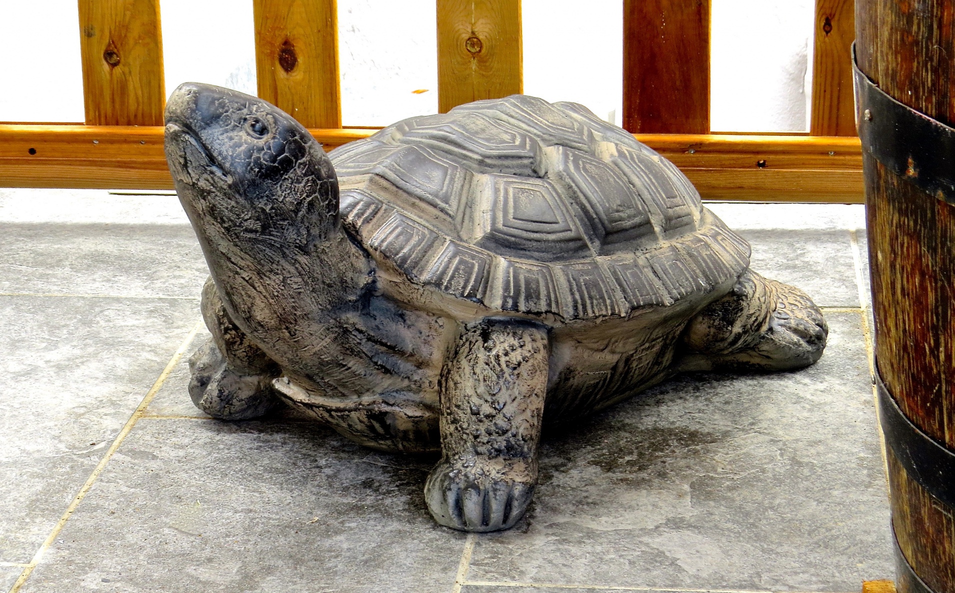 Tortue - R&eacute;sidence Coco 